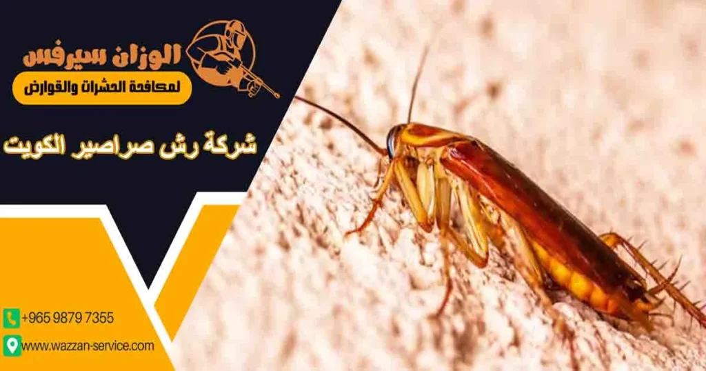 شركة رش صراصير الكويت