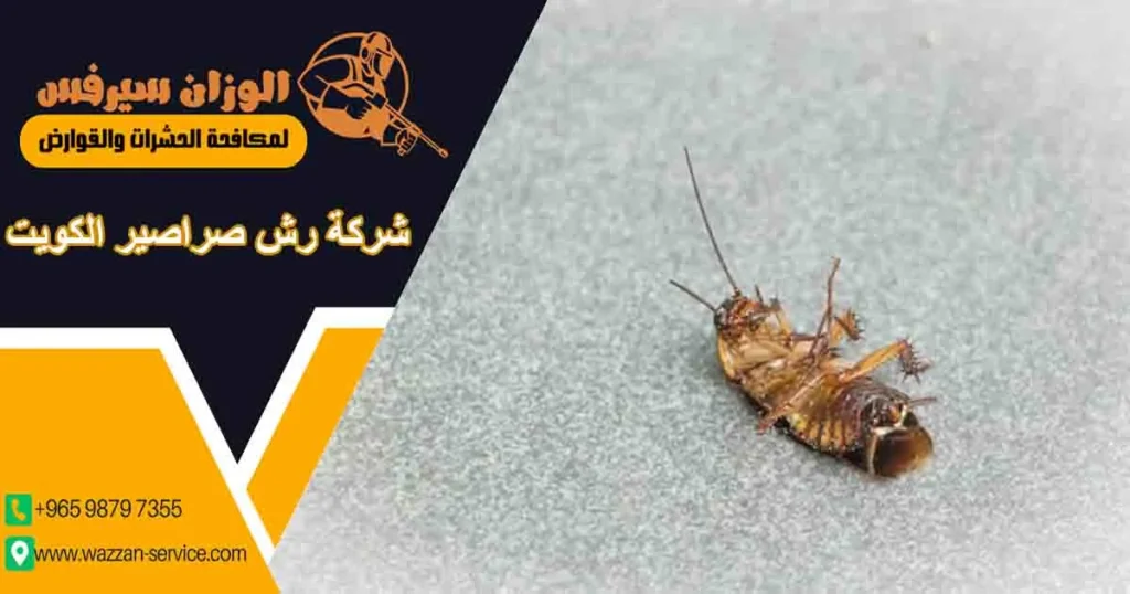 شركة رش صراصير الكويت