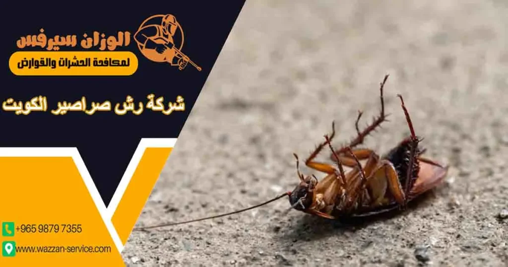 شركة رش صراصير الكويت