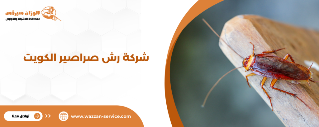 شركة رش صراصير الكويت