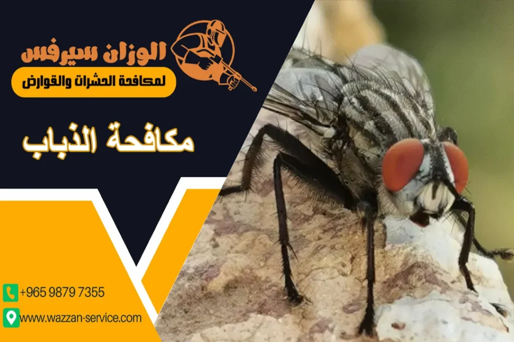 مكافحة الذباب