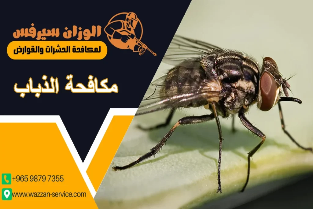 مكافحة الذباب