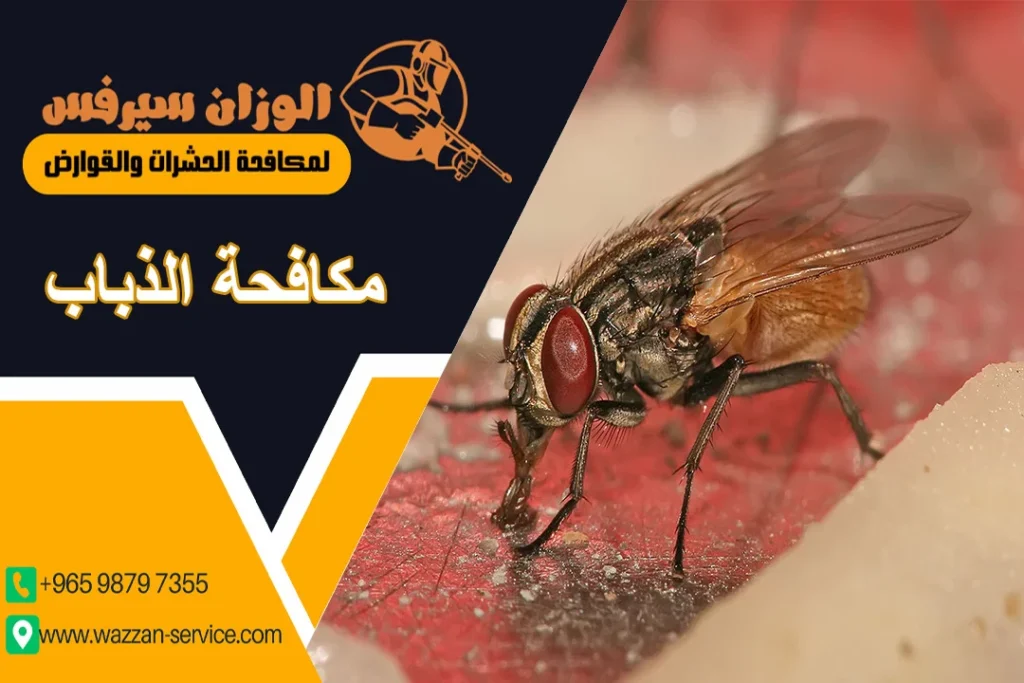 مكافحة الذباب