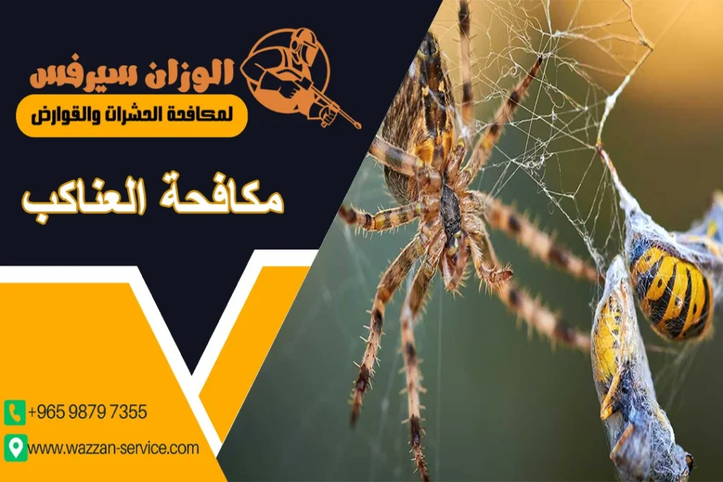 مكافحة العناكب