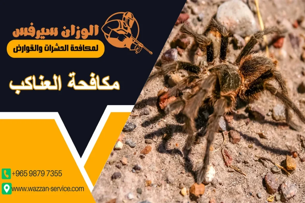 مكافحة العناكب