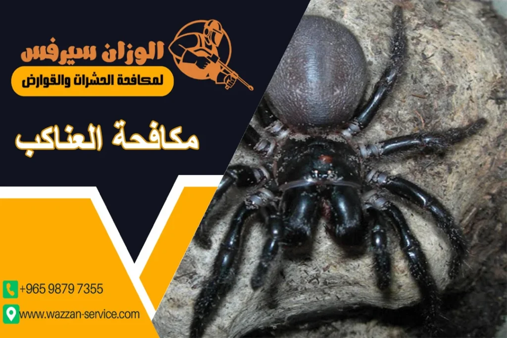 مكافحة العناكب