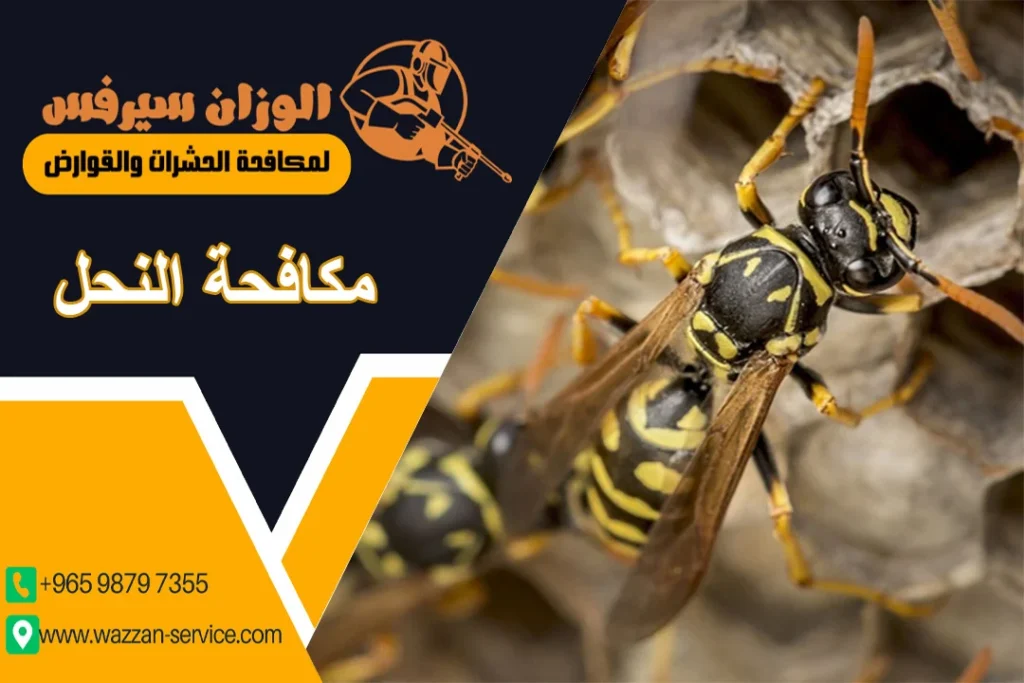 مكافحة النحل