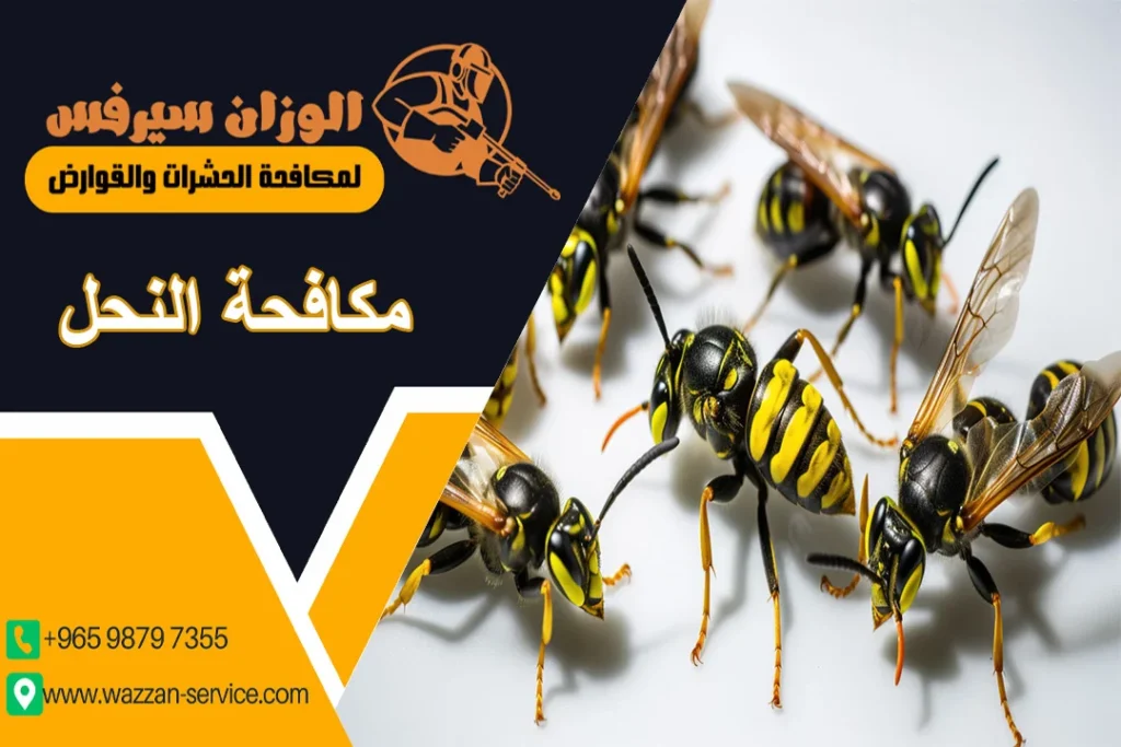 مكافحة النحل