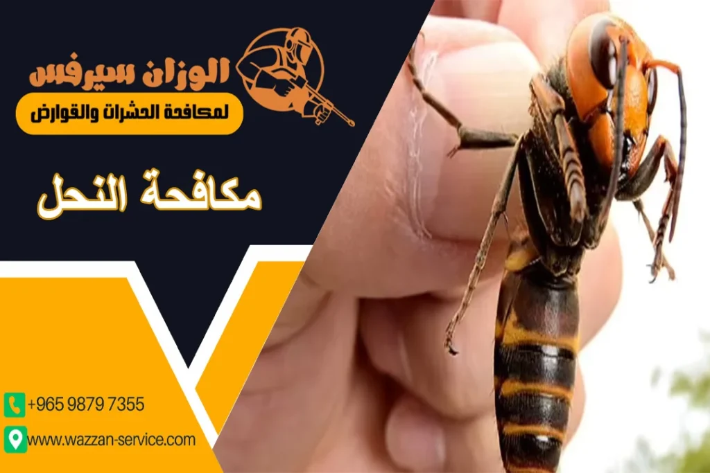 مكافحة النحل