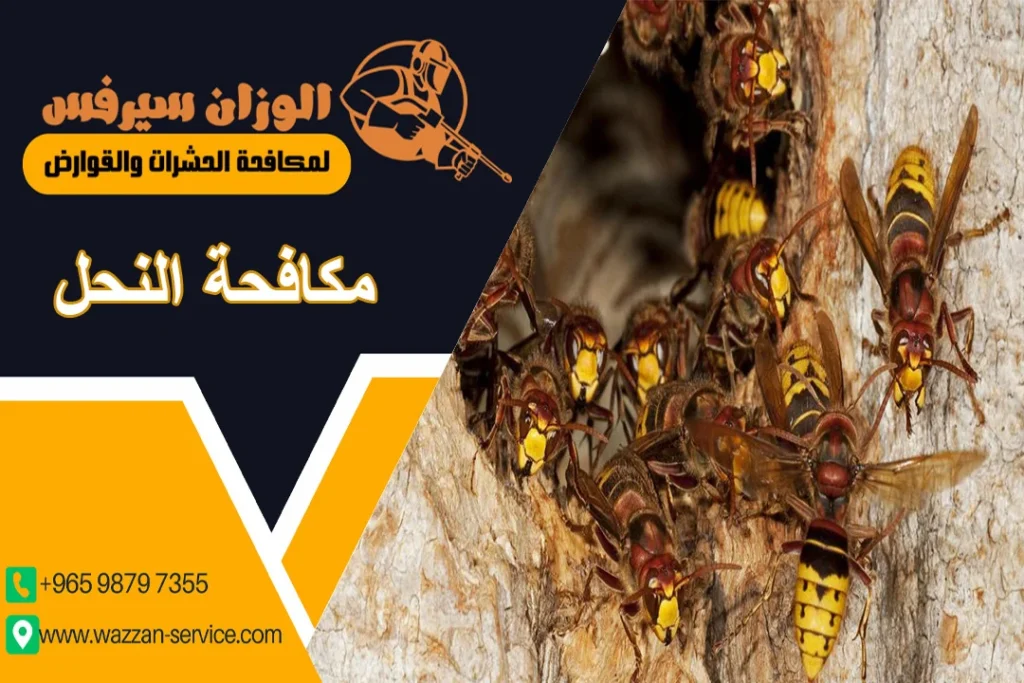 مكافحة النحل
