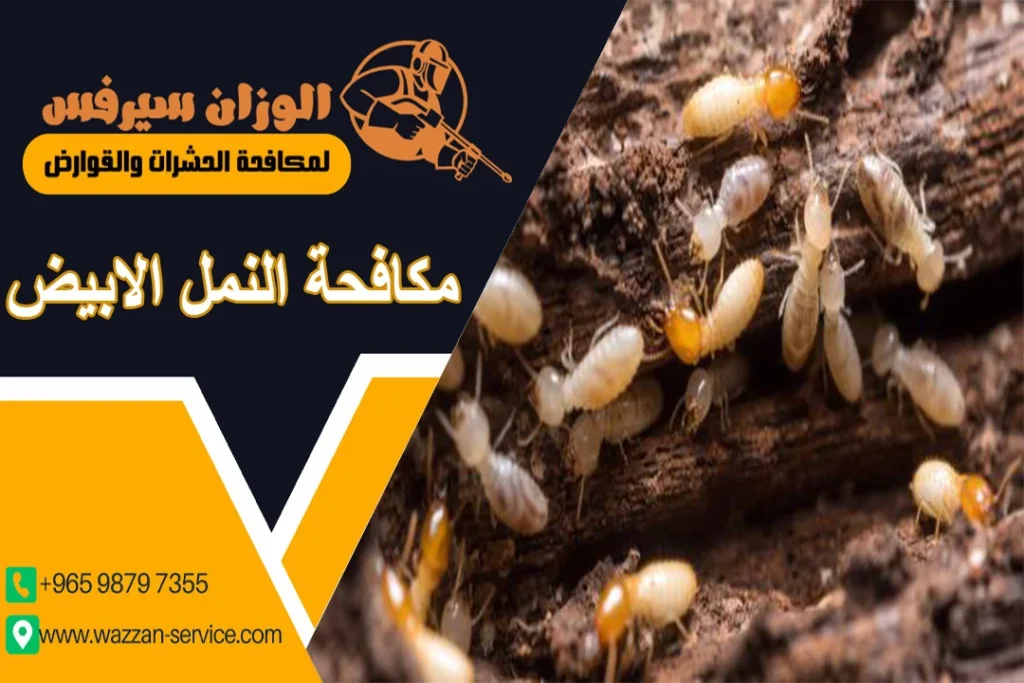 مكافحة النمل الأبيض