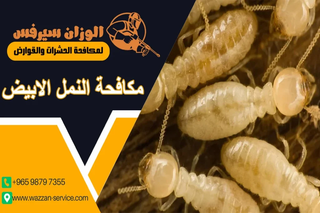 مكافحة النمل الأبيض