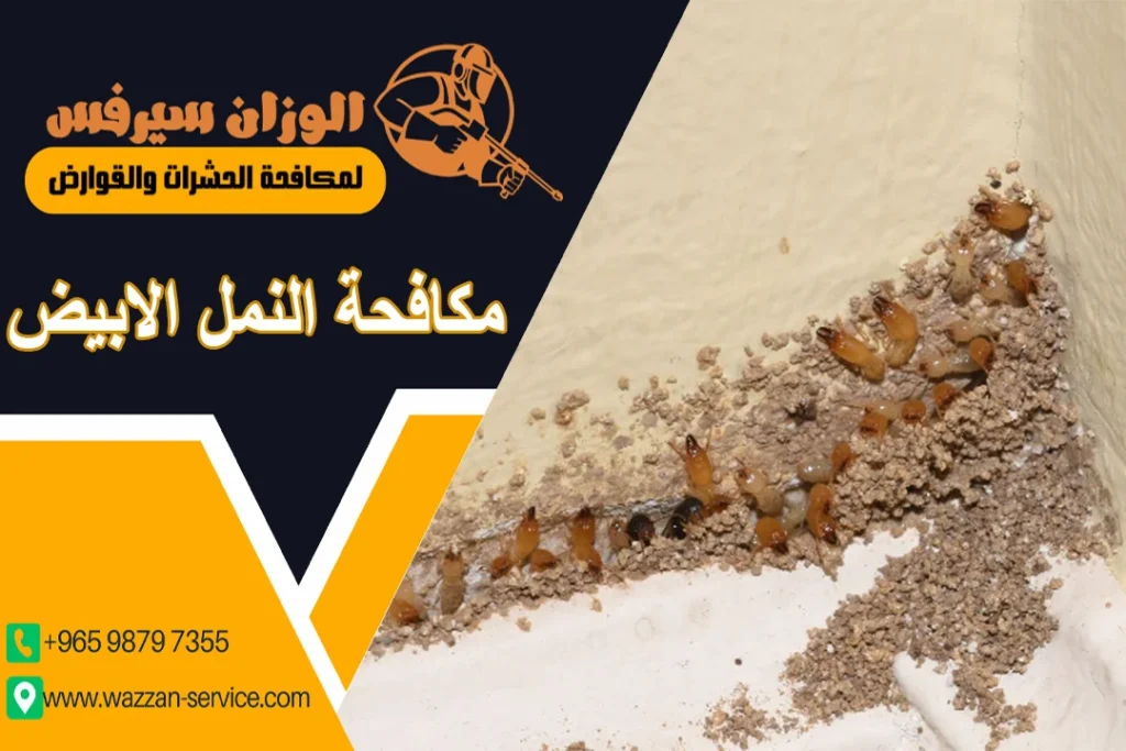 مكافحة النمل الأبيض