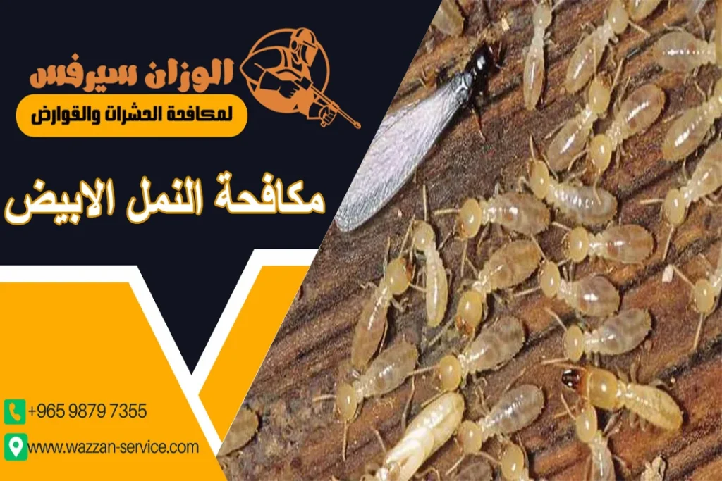 مكافحة النمل الأبيض
