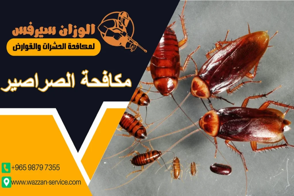 مكافحة الصراصير