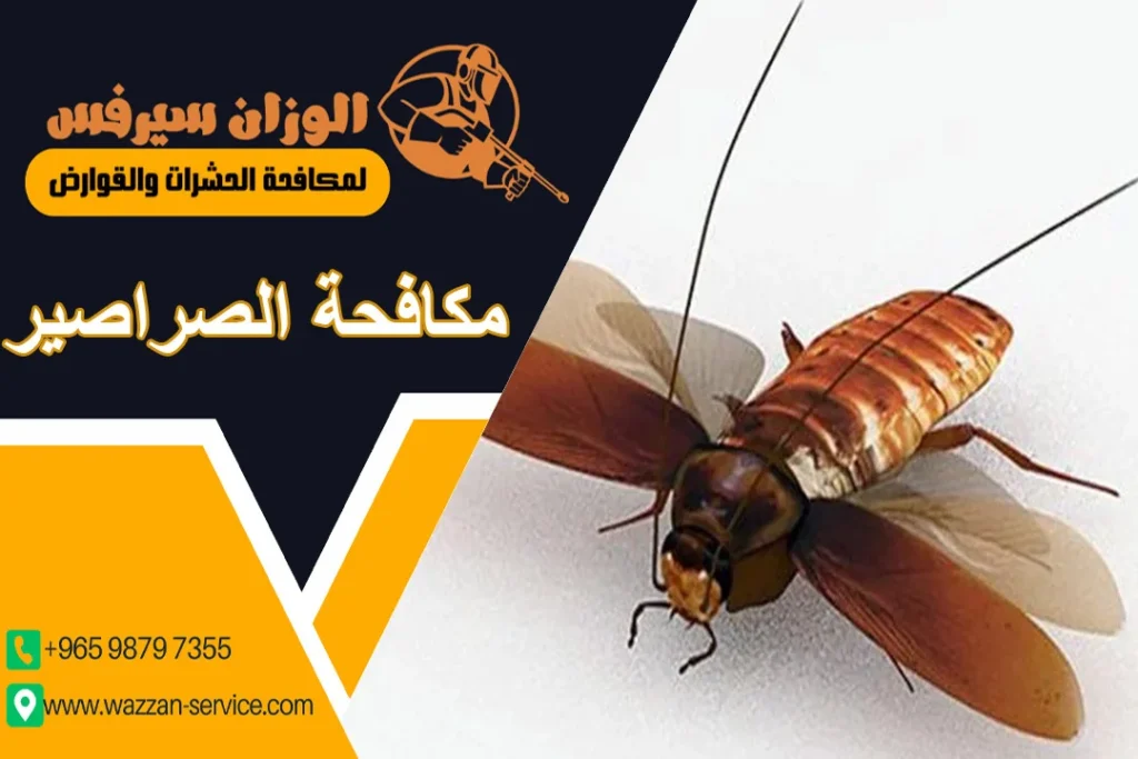 مكافحة الصراصير