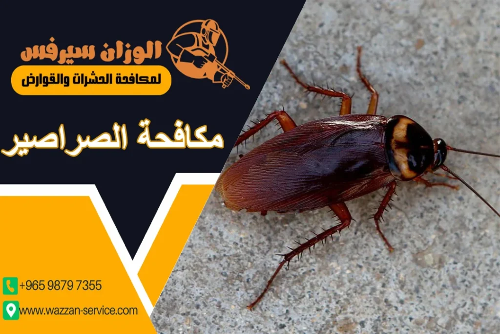 مكافحة الصراصير