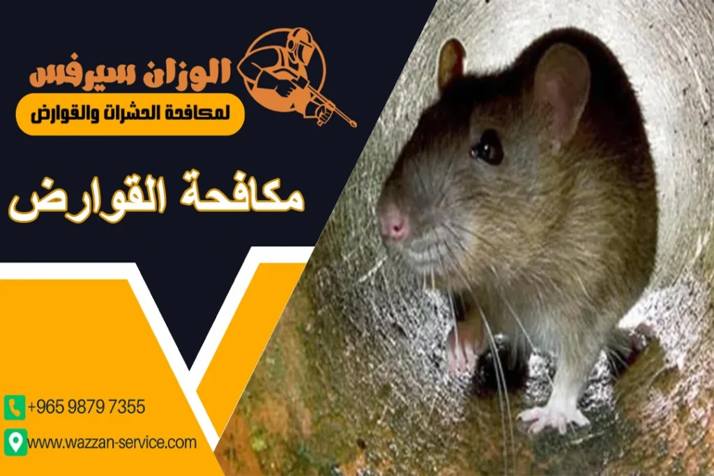 شركة مكافحة القوارض