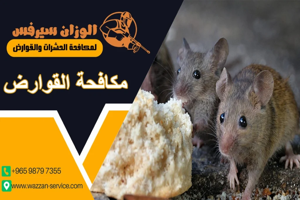 مكافحة القوارض