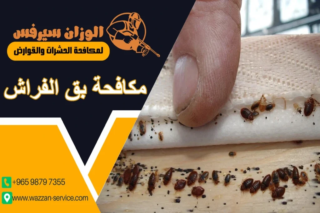 مكافحة بق الفراش