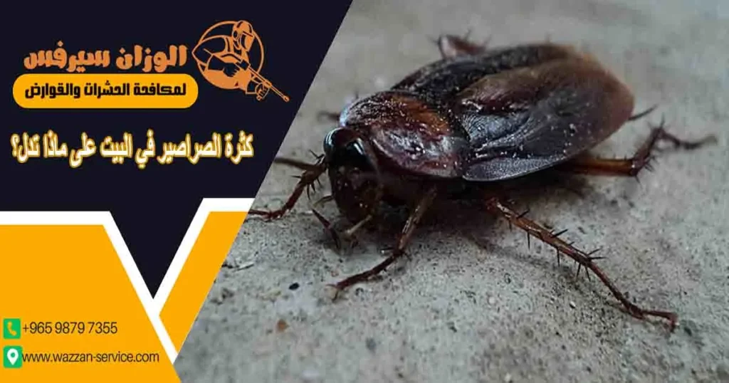 كثرة الصراصير في البيت على ماذا تدل؟ على ماذا تدل كثرة الصراصير في المنزل