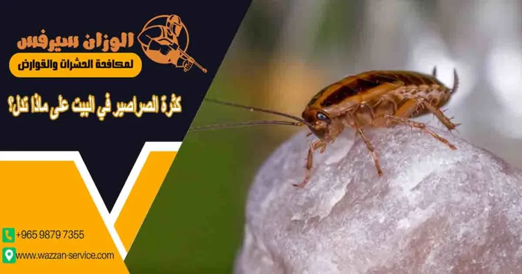 كثرة الصراصير في البيت على ماذا تدل؟ على ماذا تدل كثرة الصراصير في المنزل