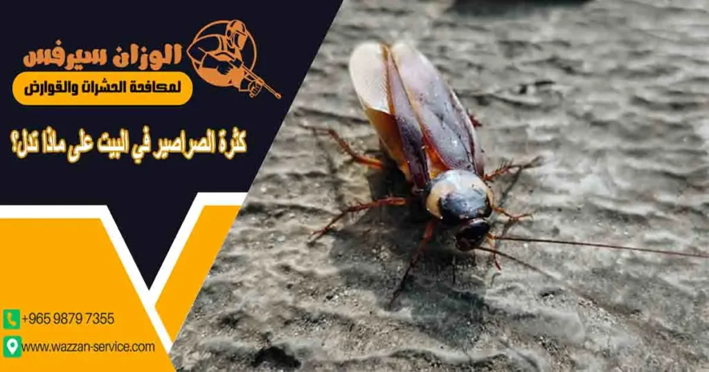 كثرة الصراصير في البيت على ماذا تدل؟ على ماذا تدل كثرة الصراصير في المنزل