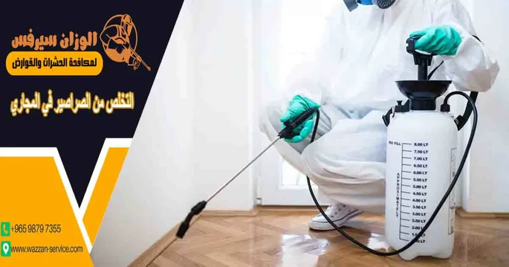 التخلص من الصراصير في المجاري التخلص من صراصير المجاري صراصير البلاعات صراصير المجاري