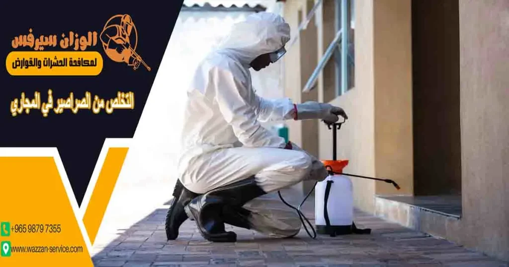 التخلص من الصراصير في المجاري
التخلص من صراصير المجاري
صراصير البلاعات
صراصير المجاري