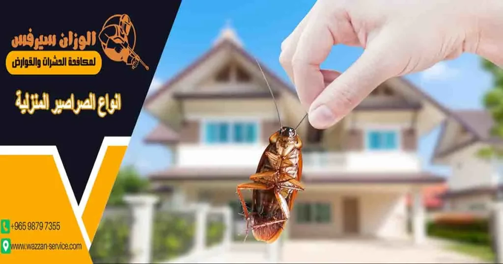 انواع الصراصير المنزلية