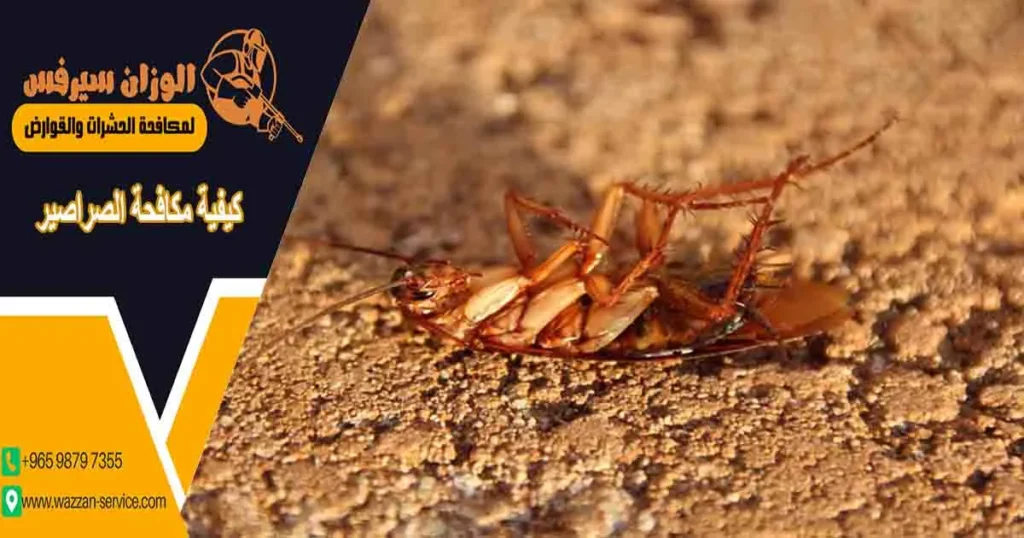 كيفية مكافحة الصراصير مكافحة صراصير مكافح الصراصير محاربة الصراصير