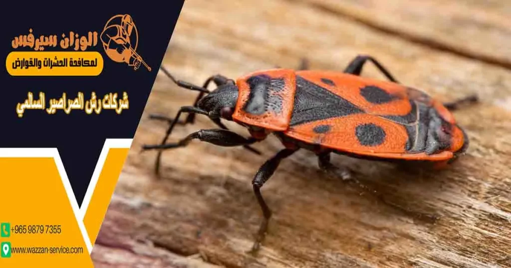 شركات رش الصراصير السالمي