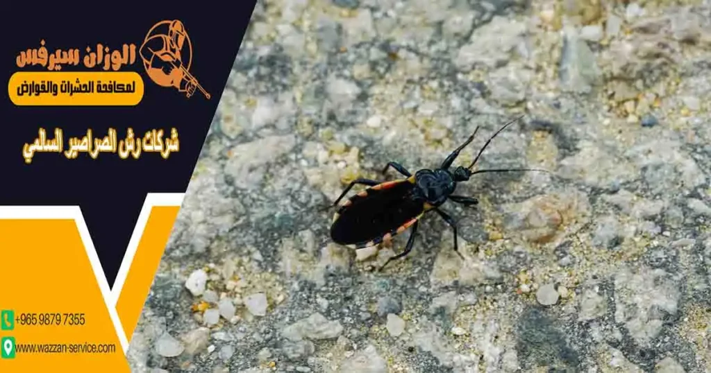 شركات رش الصراصير السالمي