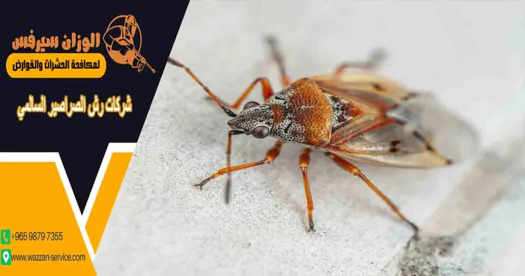 شركات رش الصراصير السالمي