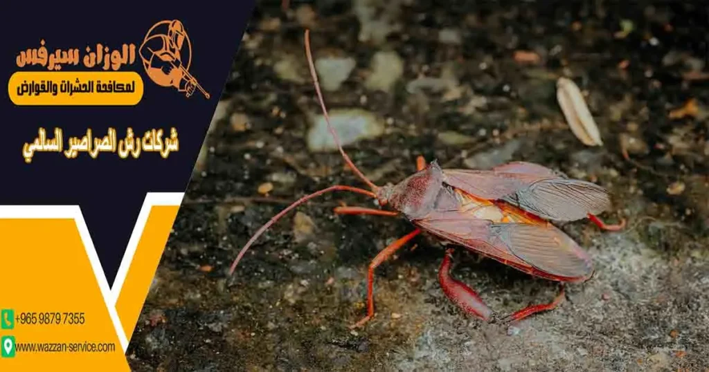 شركات رش الصراصير السالمي