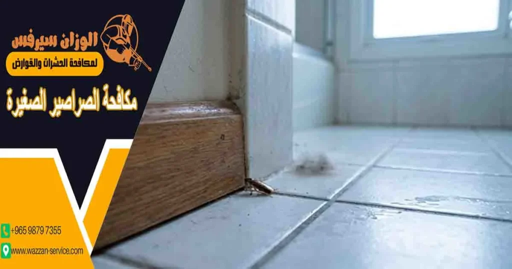 مكافحة الصراصير الصغيرة
مكافحه الصراصير الصغيره
التخلص من الصراصير الصغيرة