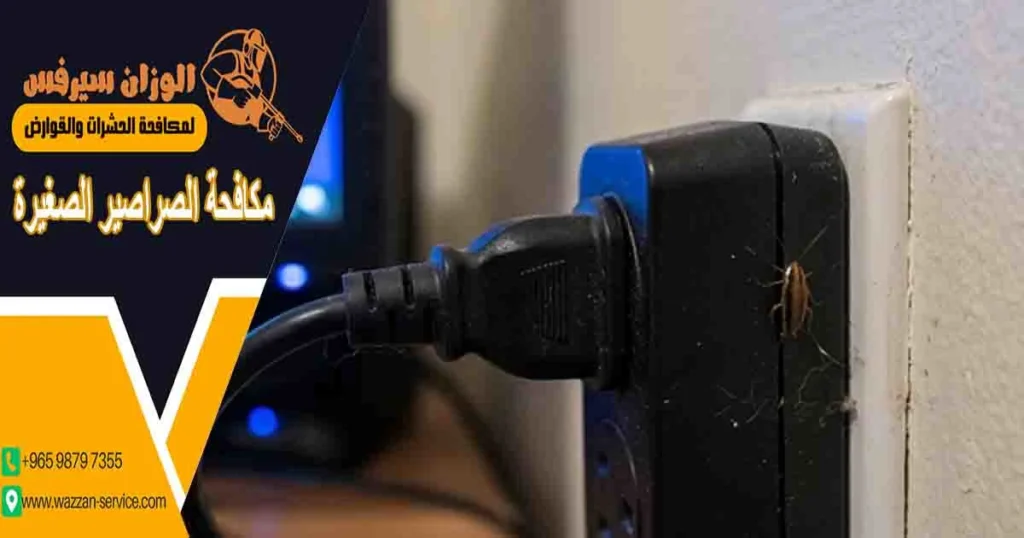 مكافحة الصراصير الصغيرة
مكافحه الصراصير الصغيره
التخلص من الصراصير الصغيرة