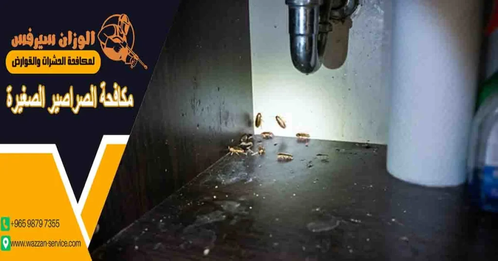 مكافحة الصراصير الصغيرة
مكافحه الصراصير الصغيره
التخلص من الصراصير الصغيرة