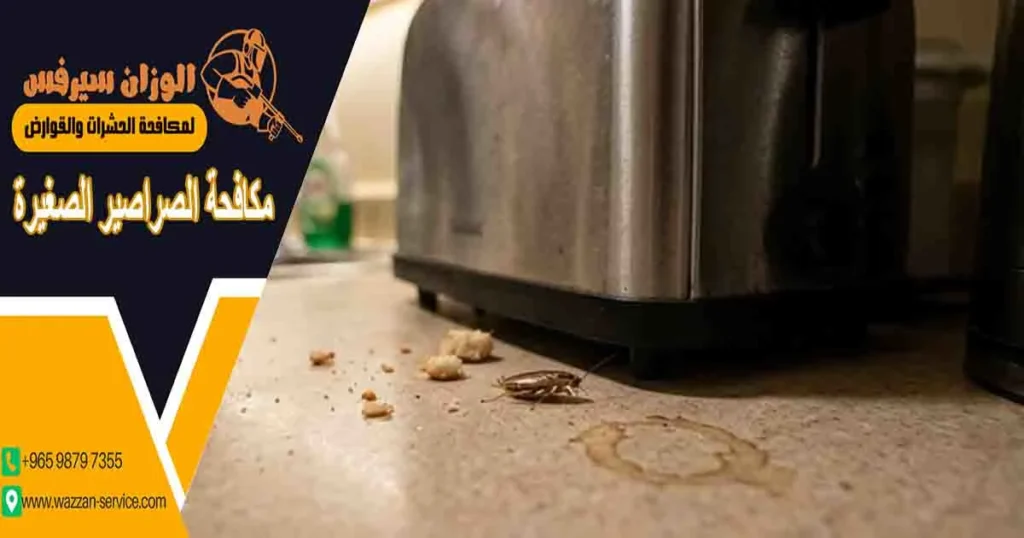 مكافحة الصراصير الصغيرة مكافحه الصراصير الصغيره التخلص من الصراصير الصغيرة